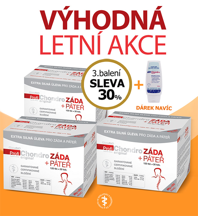 Letní akce mobil Z+P