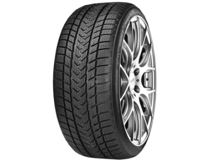 255/40R22 103V XL Pro Winter GRIPMAX