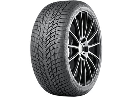 245/45R19 102V XL WR Snowproof P NOKIAN