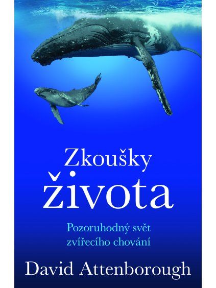 Zkousky zivota ob high