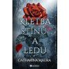 BOURDON Kletba ledu a stinu front