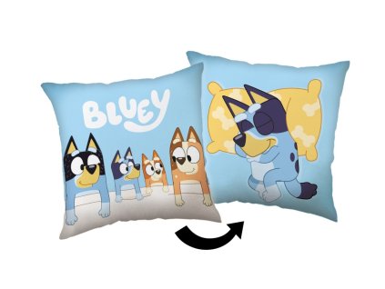 bluey