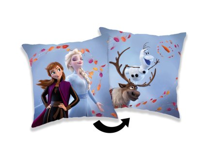 frozen 02 wind 02