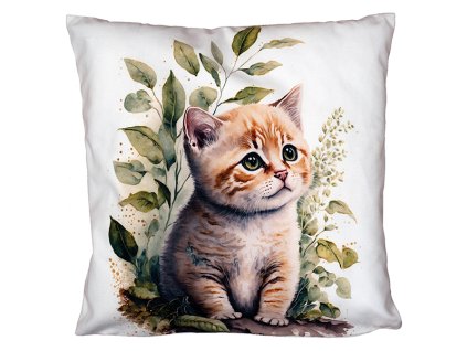 348 62 kh40x40 fotodruck kaetzchen gross