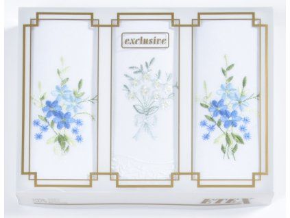 D kazeta 10 vyš E modrá