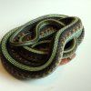 Thamnophis sirtalis infernalis - pár