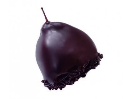 2751 visen se stopkou belgicka cokolada pralinka cca 12 24g