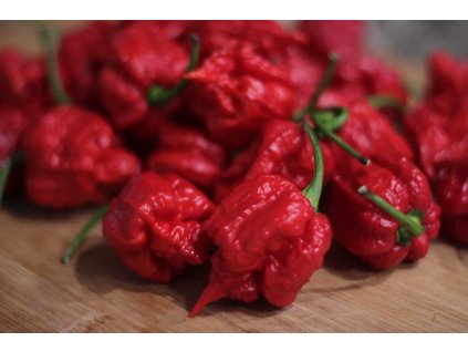 carolina reaper pepper