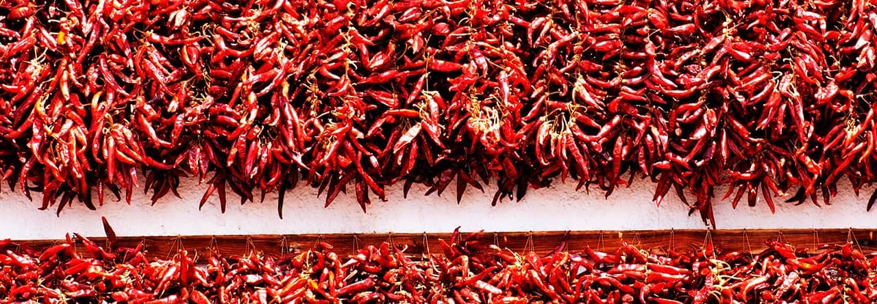 Szegedi Paprika – pole a výroba