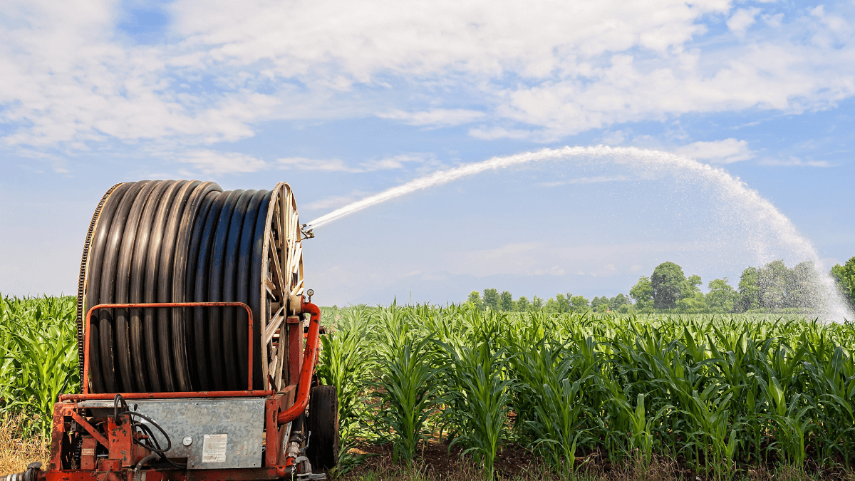 Strukturovaná voda v zemědělství: Klíč k hojné úrodě a zelenějším polím!