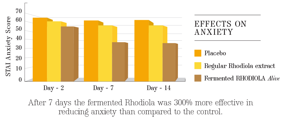 ALIVE-anxiety-graph-1