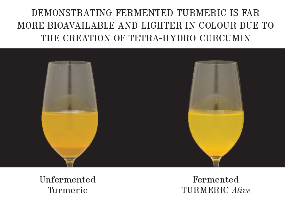 ALIVE-glass-turmeric-1