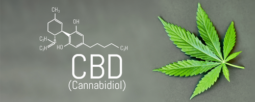 Cannabidiol