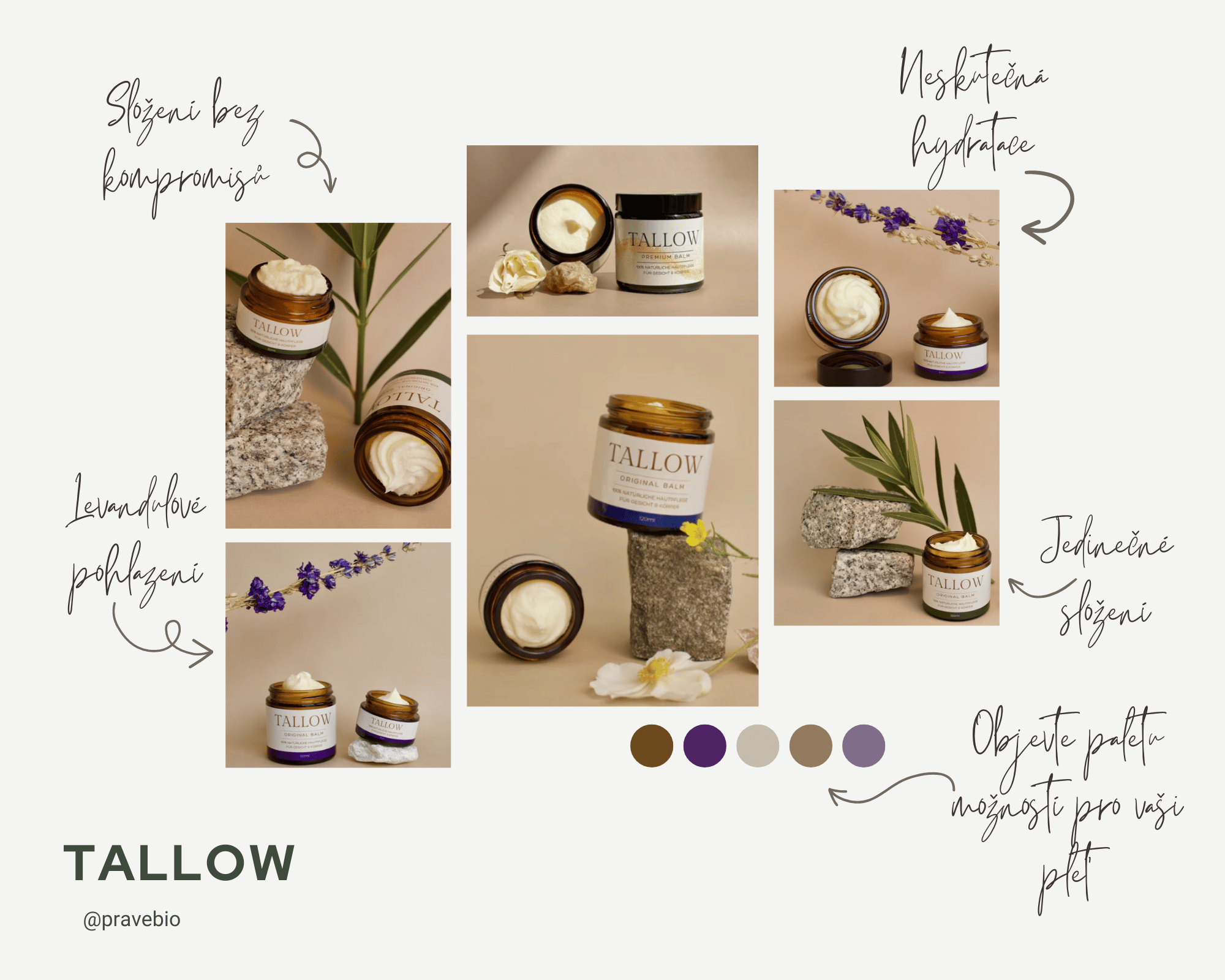 Tallow_uvodni_clanek