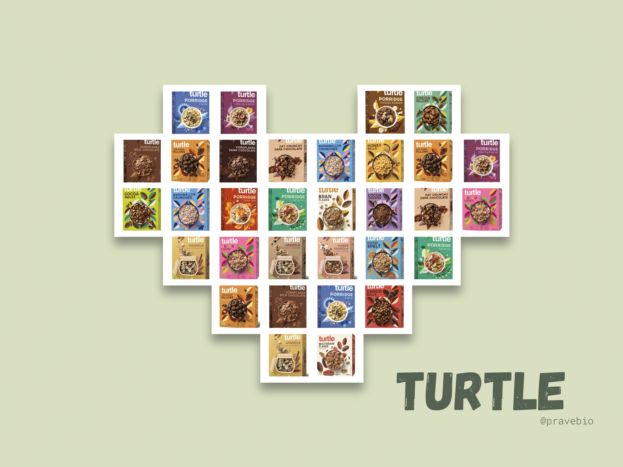 turtle_uvodni-foto-clanek_optimized