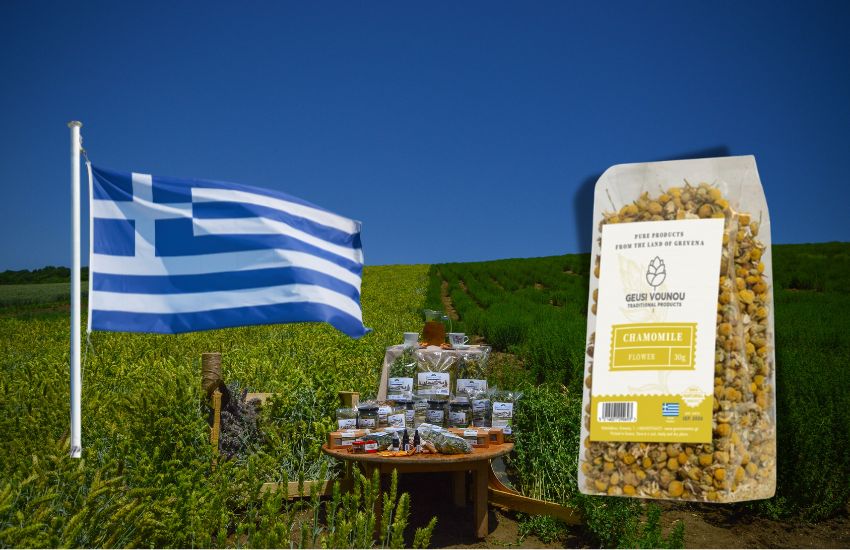 Návrh bez názvu - 2024-08-09T095741.597