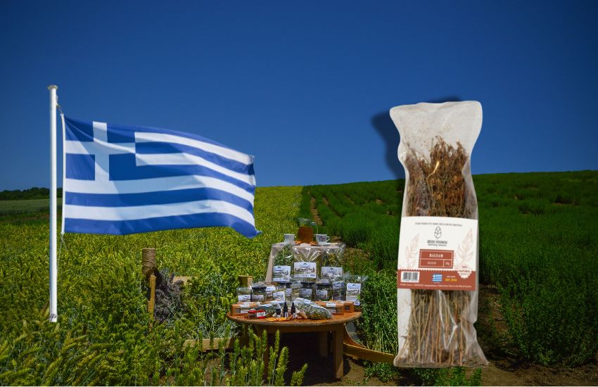 Návrh bez názvu - 2024-08-09T102021.647