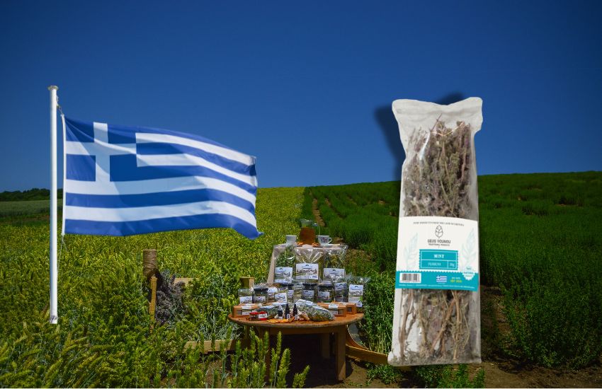 Návrh bez názvu - 2024-08-12T081248.794