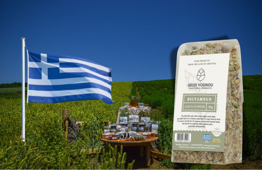 Návrh bez názvu - 2024-08-12T092234.496