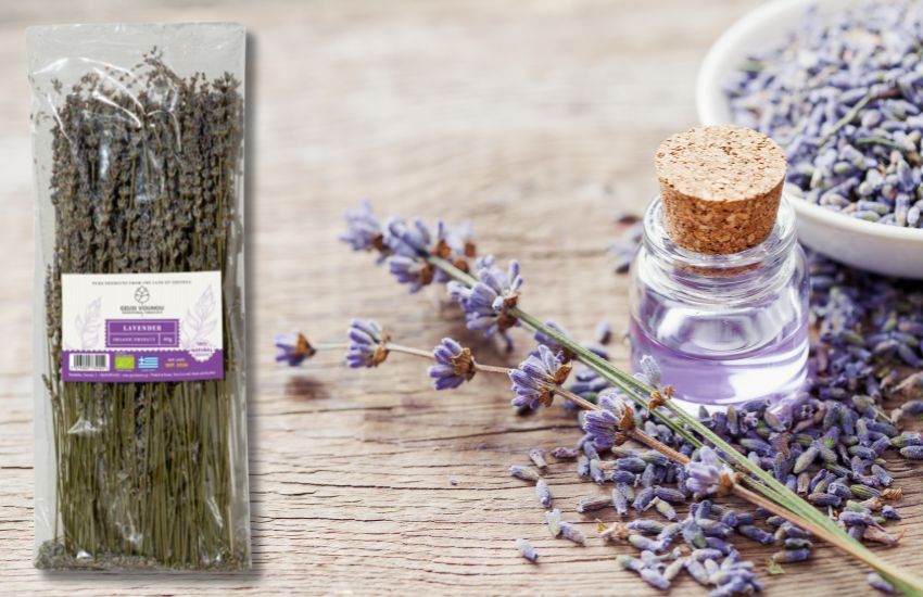 Návrh bez názvu - 2024-08-12T101755.538