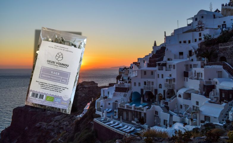 Návrh bez názvu - 2025-02-06T173042.917