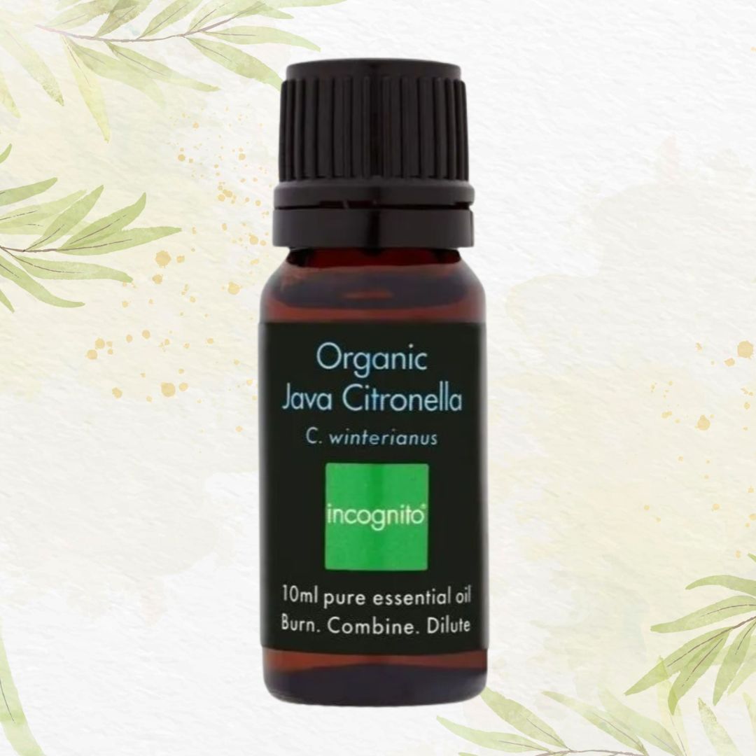 Návrh bez názvu (14)