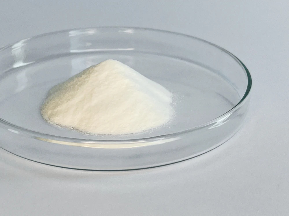 Magnesium L-Treonát - Prášek