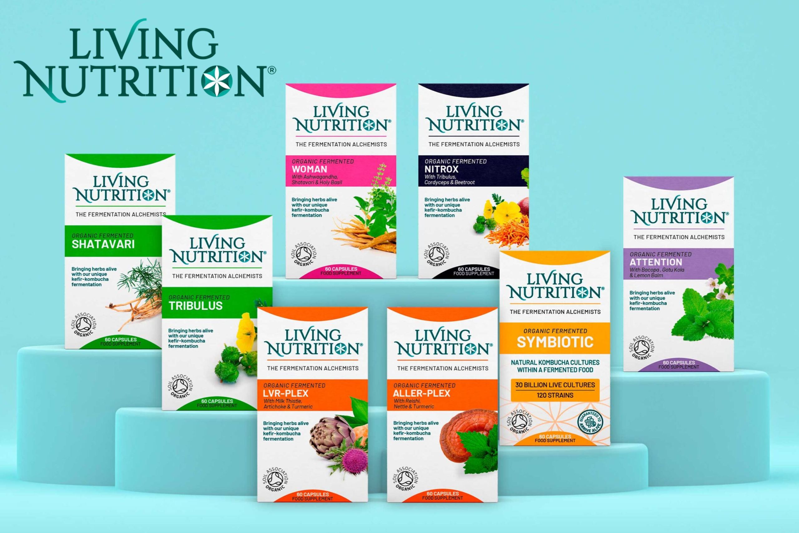 ayurveda from living nutrition (1)