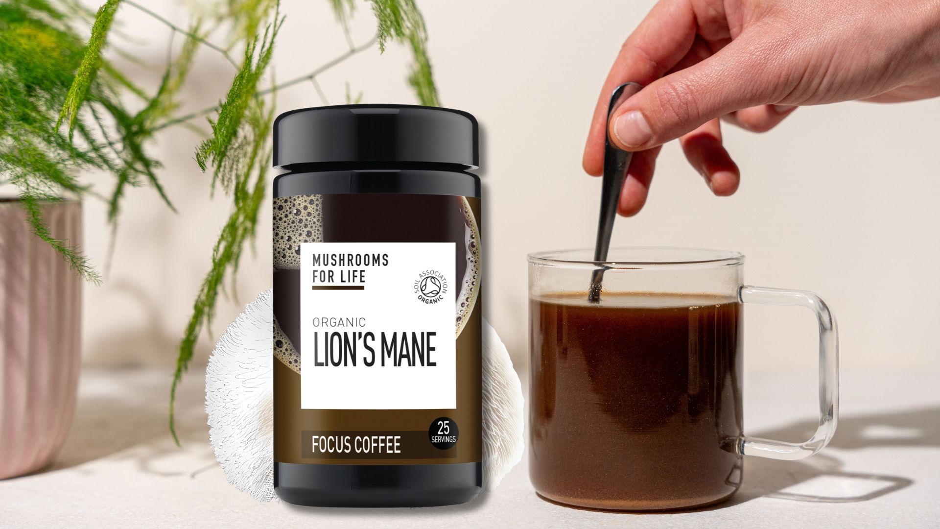 lions mane coffee