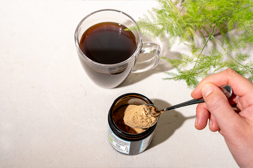 mushroom coffee powders living nutrition