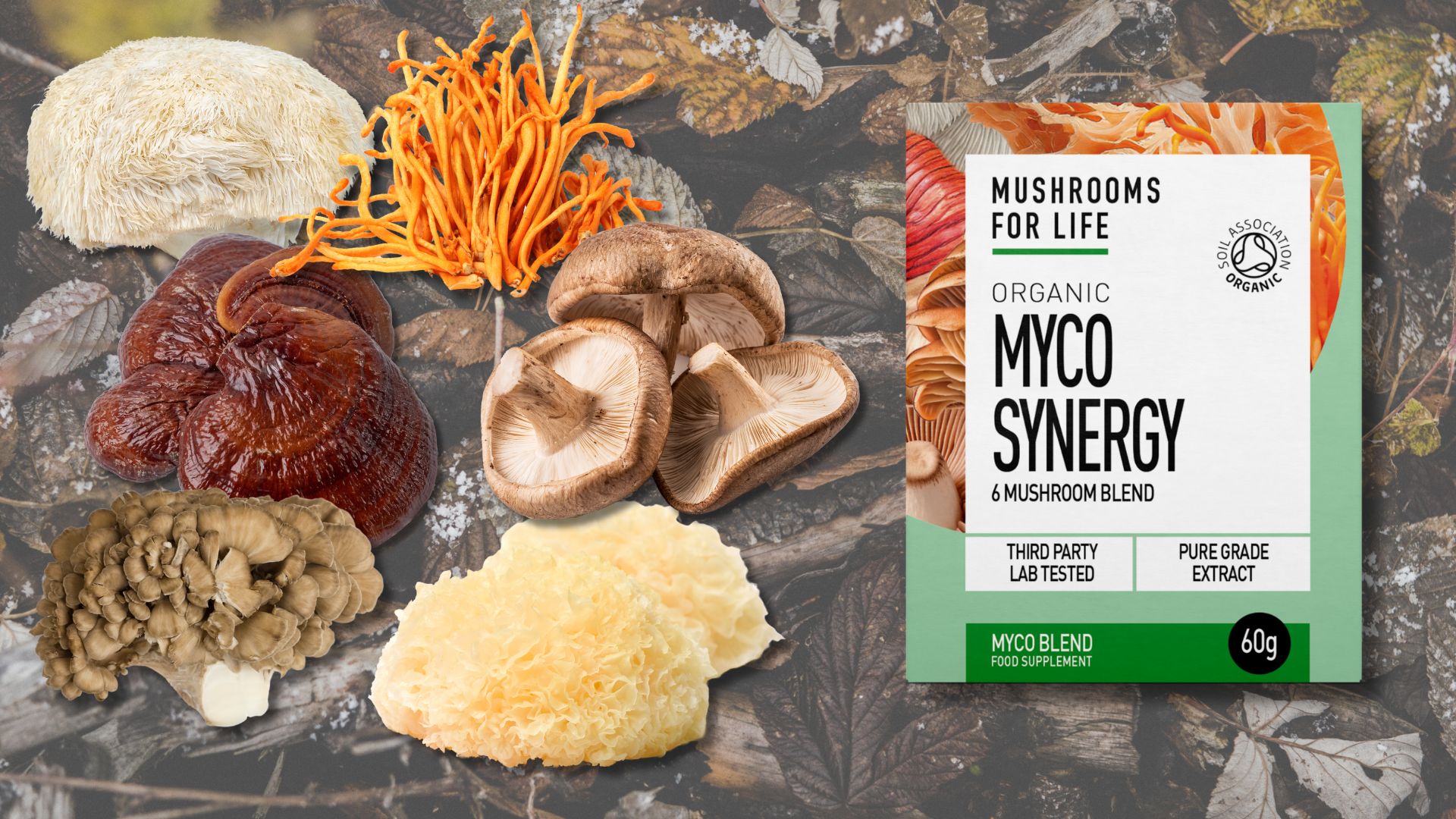 mycosynergy prasek