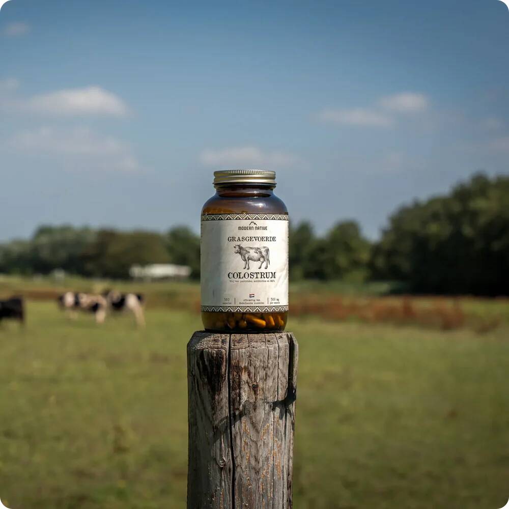 Copy_of_Untitled-056_1000x1000-min