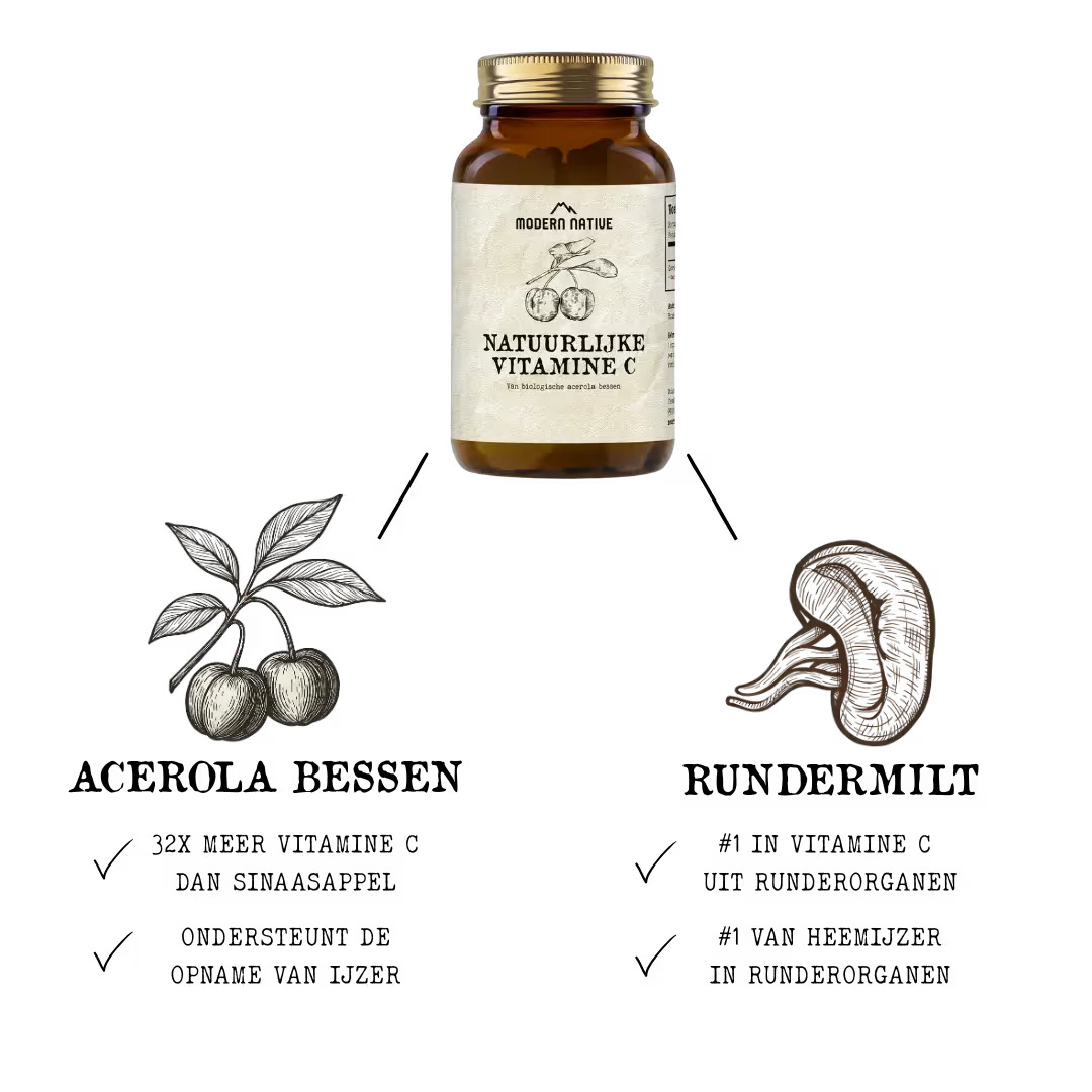 Přírodní vitamín C z aceroly a hovězí sleziny - Modern Native