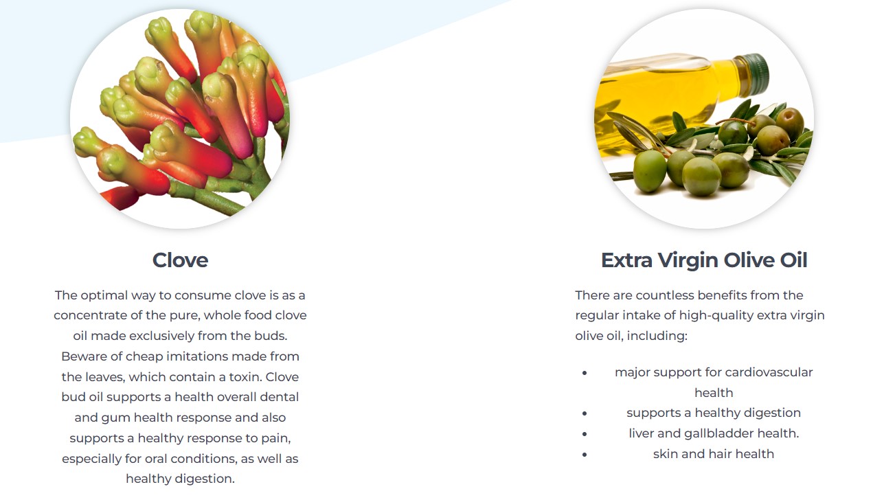 Snímek obrazovky 2024-05-29 141020