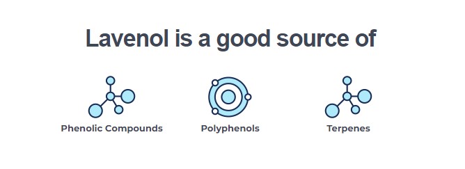 lavenol