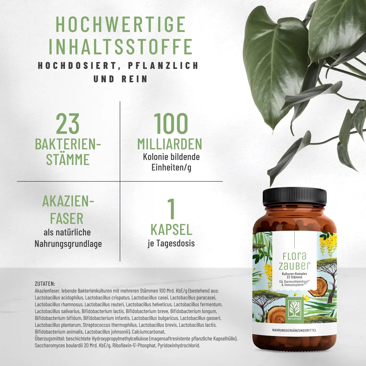 FloraZauber