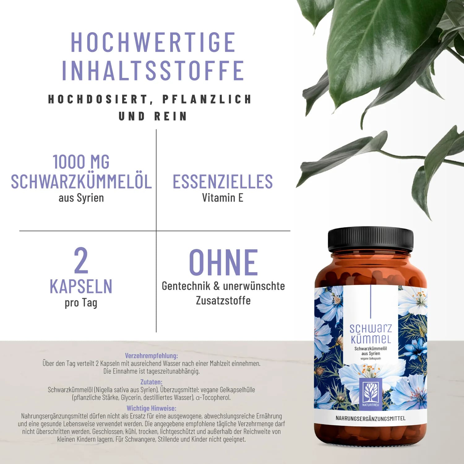 SchwarzKümmel
