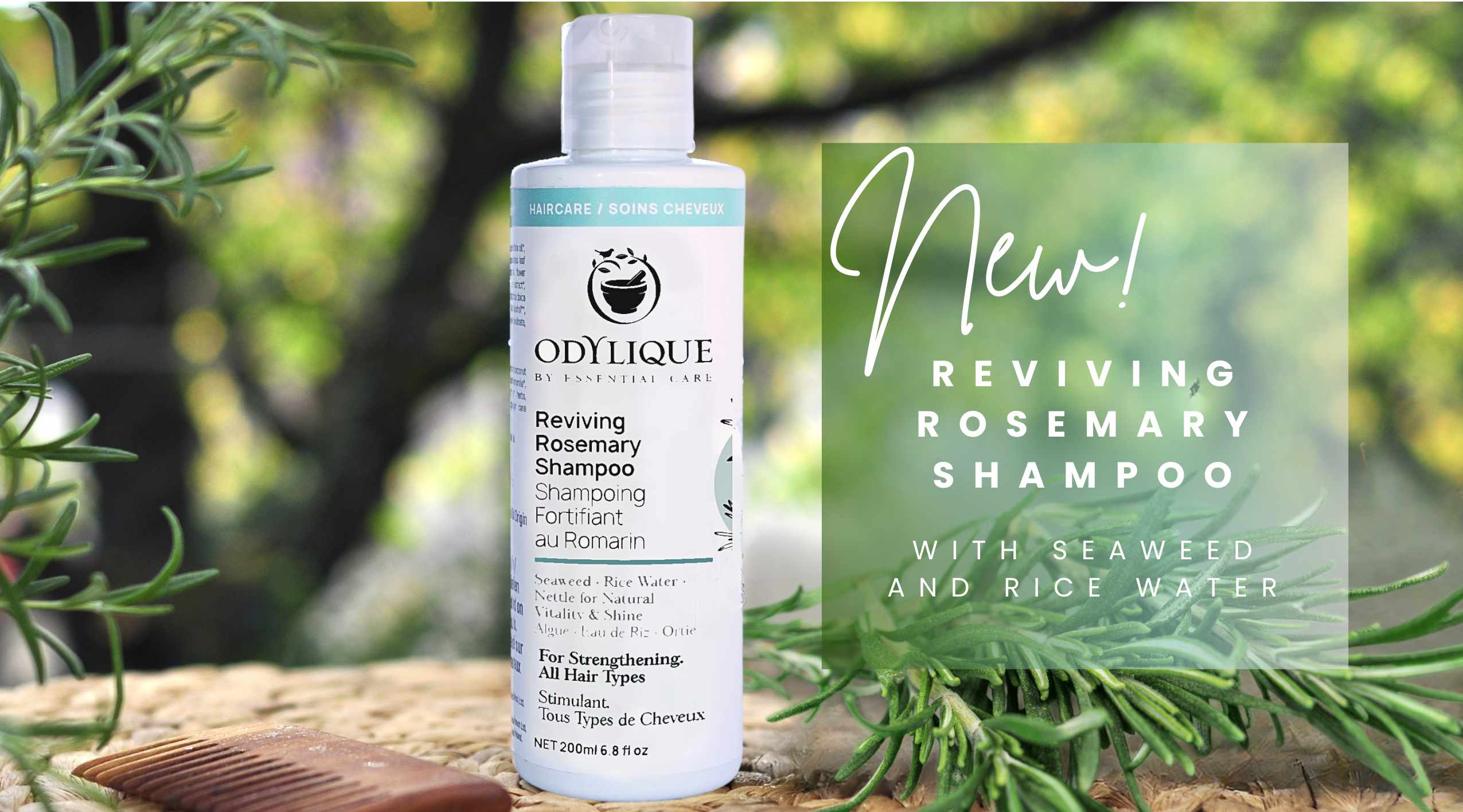 New-Odylique-Rosemary-Shampoo
