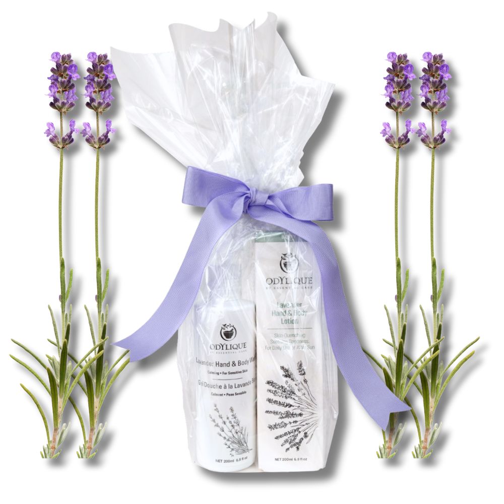 lavender gift set (6)