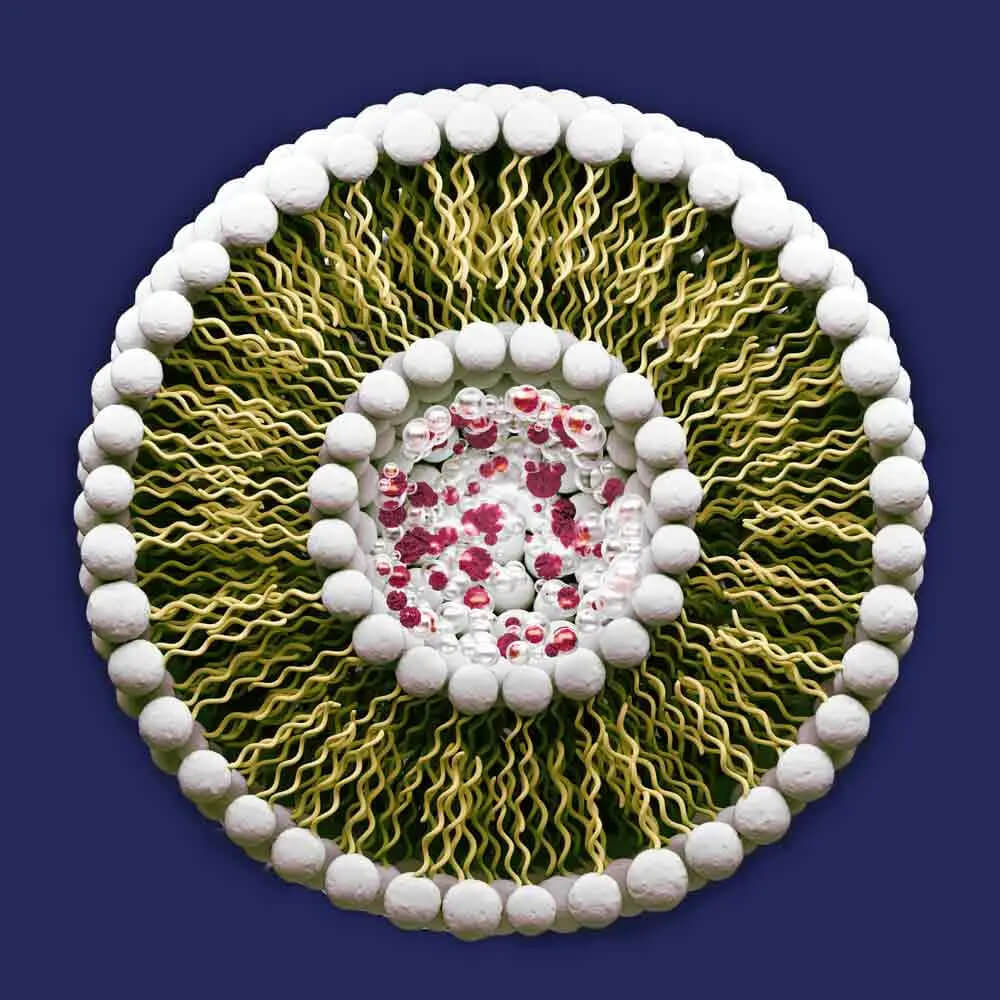 liposomal