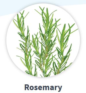 ROSEMARY