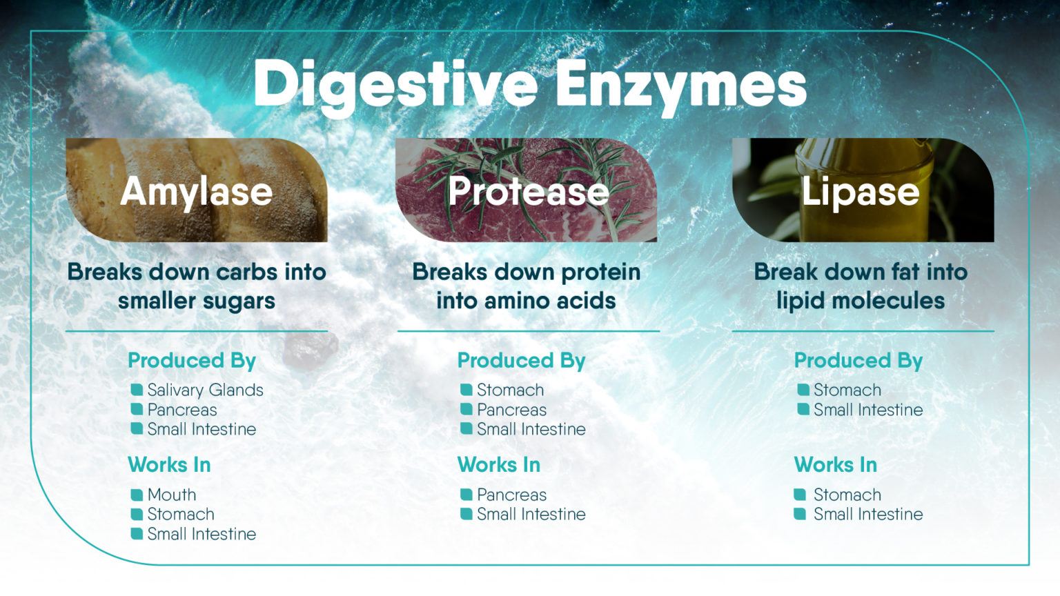infografika trávicí enzymy