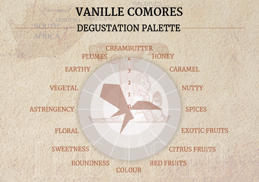 Origine-Vanille-Comores