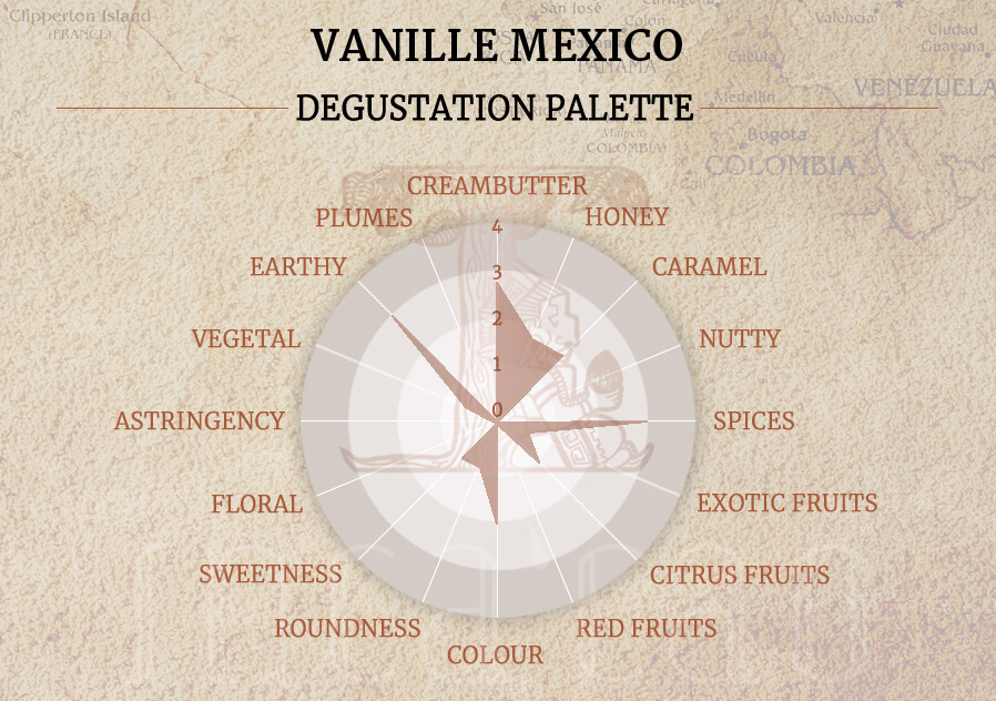 Origine-Vanille-Mexique 4