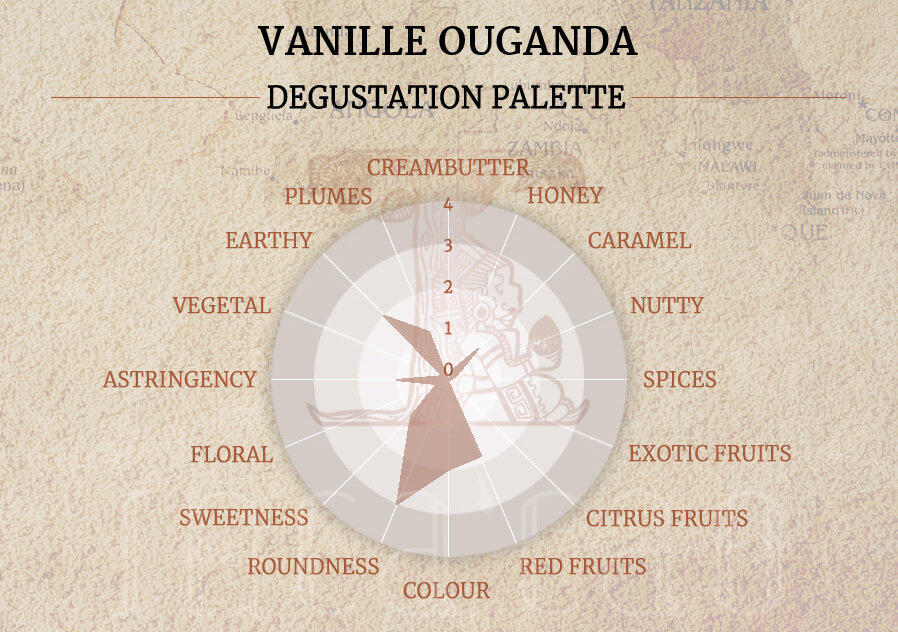 Origine-Vanille-Ourganda 4