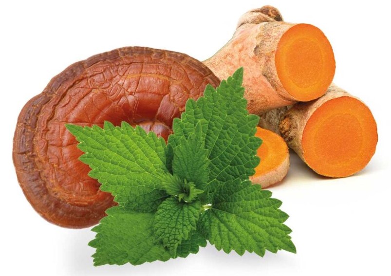 Aller-plex-group-900x618