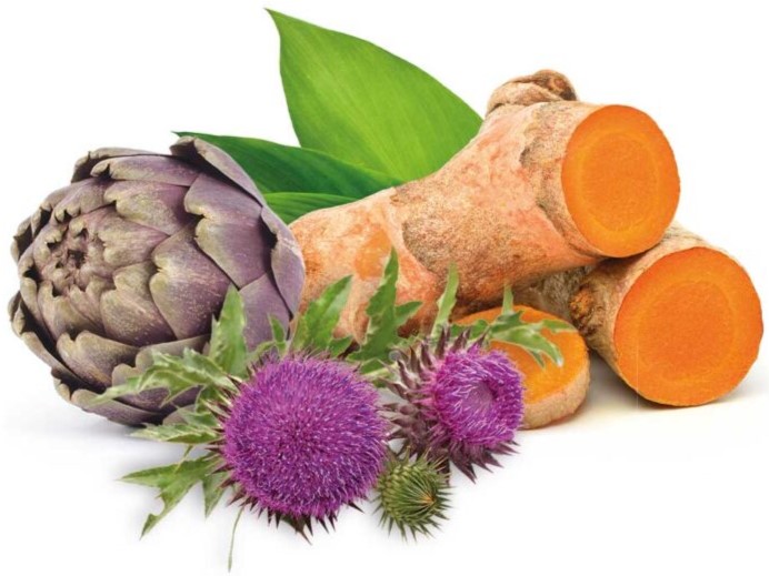 LVR-Plex-Group-1-900x618