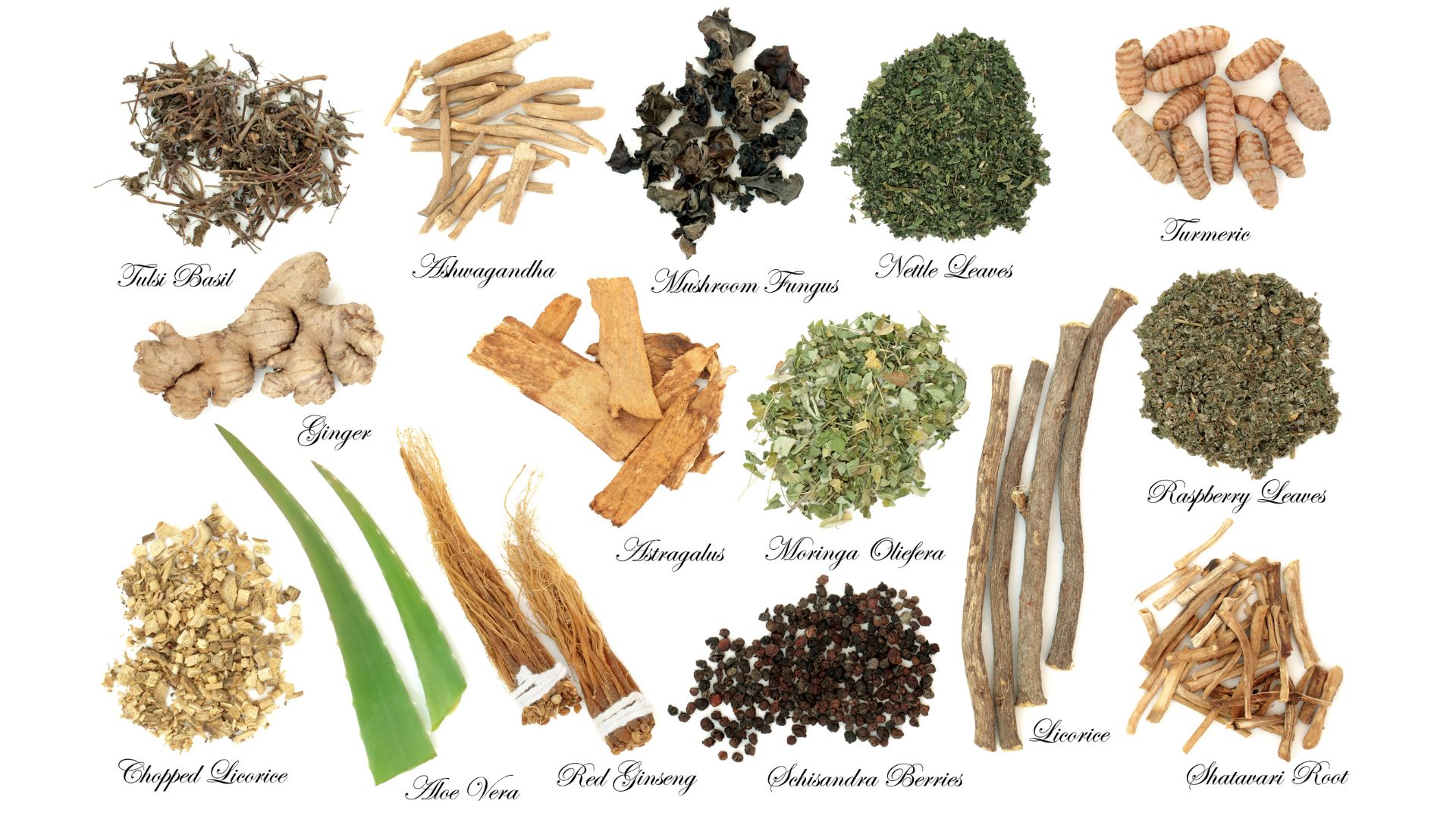 adaptogens