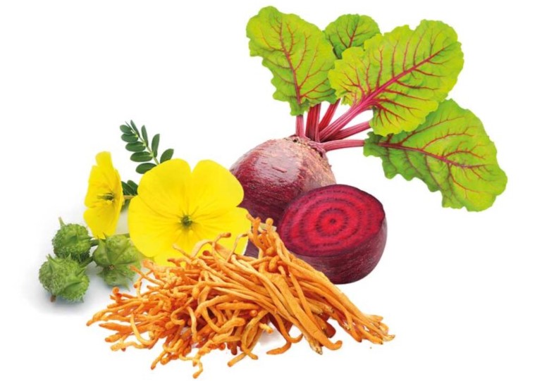 nitrox-herbs-900x609