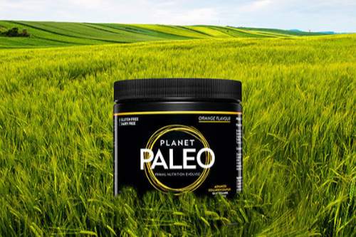 Průvodce výběrem kolagenu Planet Paleo